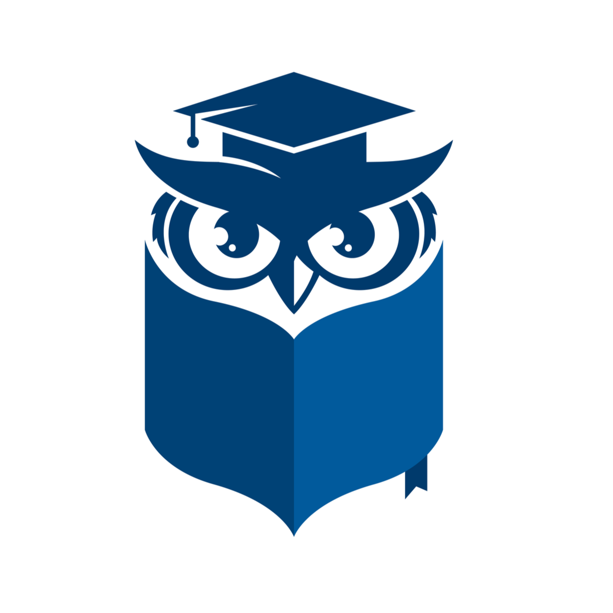 Owl studying indication of  the evidence based approach we take at wimbledon chiro & Sports Injury Clinic