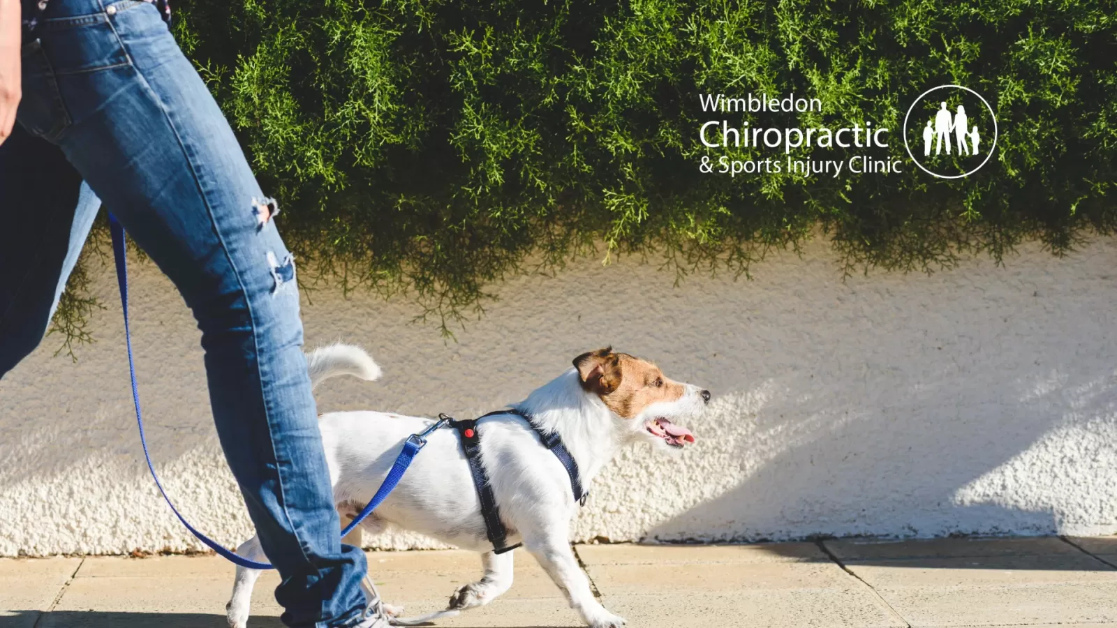 ankle plantar fasciitis treatment wimbledon SW19 - best shock wave therapy wimbledon SW19