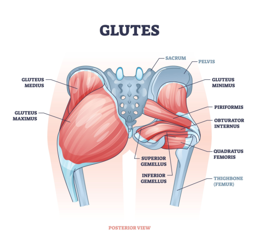 stregthen weak gluts of the hip Wimbledon